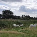 12 Person In Nordborg-by Traum 度假居 诺德堡
