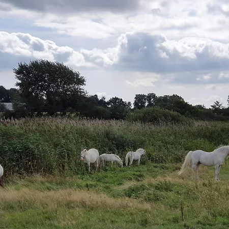 12 Person In Nordborg-by Traum Сasa de vacaciones Nordborg