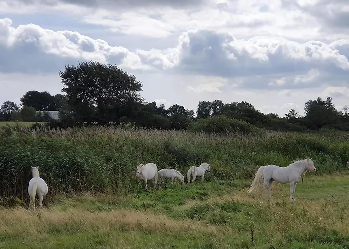12 Person In Nordborg-by Traum Holiday home Nordborg